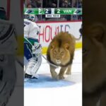 A Lion Jumps Onto the Ice Mid Game 🦁🏒