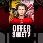 SHOULD THE DETROIT RED WINGS OFFER SHEET CONNOR BEDARD? IS IT EVEN POSSIBLE? (Chicago Blackhawks)