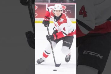 Do the Flames Need Another Defence Prospect?