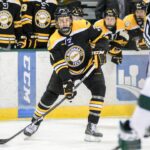 Bemidji State Recap: In The Crease