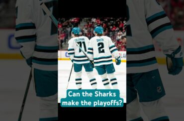 Can the Sharks make the playoffs? #hockey #nhl #sanjosesharks #stanleycupplayoffs