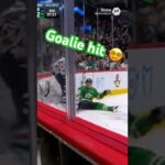 POV: You Get Destroyed Behind the Net 😱🏒