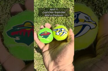Cujo’s NHL Picks | Minnesota Wild vs Nashville Predators 🏒 04-11-2026 #CujoCatches