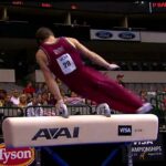 Tim Gentry - Pommel Horse - 2009 Visa Championships - Men - Day 2