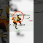 He Doesn’t Let the NHL Player Get a New Stick!