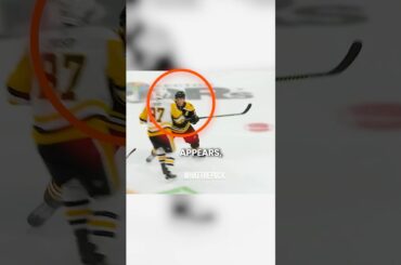 He Doesn’t Let the NHL Player Get a New Stick!