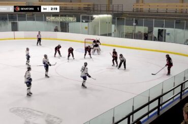 U15AA Provincials: Ottawa Senators vs Durham West Lightnng