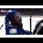 Filip Hronek Chirps Flames Bench. "You Have Holiday In 2 Days"