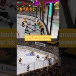 40 GOALS STEVEN STAMKOS 🤯