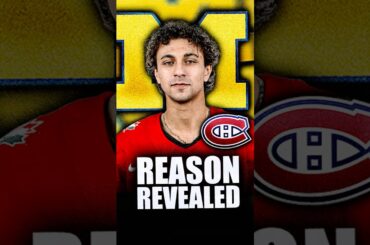 WE NOW KNOW WHY MICHAEL HAGE REJECTED THE MONTREAL CANADIENS