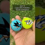 Cujo’s NHL Picks | San Jose Sharks vs Nashville Predators 🏒 04-13-2026 #CujoCatches