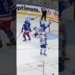 Jonathan Bernier Lets In Another Bad One😧 (Nov 15, 2015) #leafs #torontomapleleafs