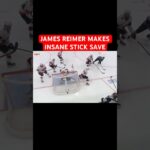 JAMES REIMER MAKES INSANE STICK SAVE OUT OF NOWHERE FOR SENATORS