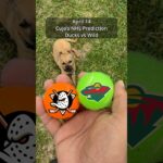 Cujo’s NHL Picks | Anaheim Ducks vs Minnesota Wild 🏒 04-14-2026 #CujoCatches