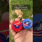 Cujo’s NHL Picks | Washington Capitals vs Columbus Blue Jackets 🏒 04-14-2026 #CujoCatches