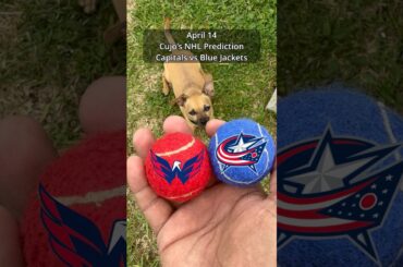 Cujo’s NHL Picks | Washington Capitals vs Columbus Blue Jackets 🏒 04-14-2026 #CujoCatches