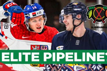 Where Does the Chicago Blackhawks Prospect Pool RANK Among the NHL's Best? | CHGO Blackhawks Podcast