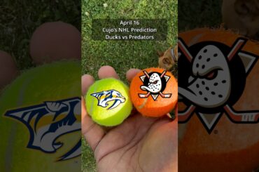 Cujo’s NHL Picks | Anaheim Ducks vs Nashville Predators 🏒 04-16-2026 #CujoCatches