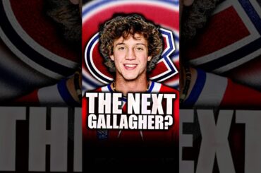 MONTREAL BRINGS IN THE NEXT BRENDAN GALLAGHER TO LAVAL? VINZENZ ROHRER