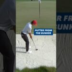 Don't see this every day 😳