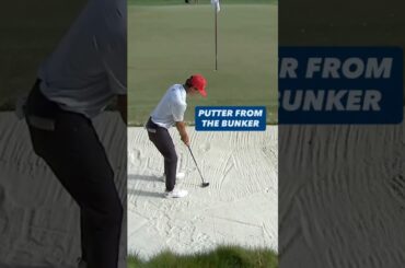 Don't see this every day 😳