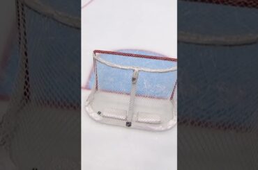 Most electric empty-netter of the year? 👀