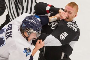 crazy hockey fight