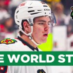 Anton Frondell Headed to WORLD CHAMPIONSHIPS with Team Sweden | CHGO Blackhawks