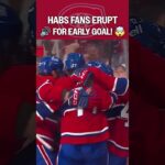 PURE PANDEMONIUM 🔊🫨