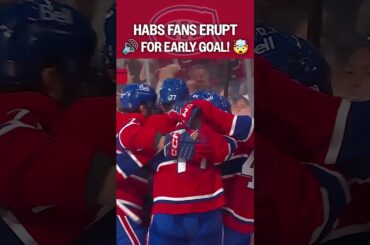 PURE PANDEMONIUM 🔊🫨