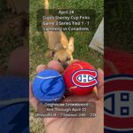 Cujo’s NHL Picks | Tampa Bay Lightning vs Montreal Canadiens 🏒 04-24-2026 #CujoCatches