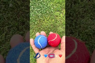 Cujo’s NHL Picks | Tampa Bay Lightning vs Montreal Canadiens 🏒 04-26-2026 #CujoCatches