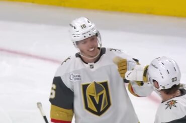 Pavel Dorofeyev #16 Vegas Golden Knights | Goals 2025/26