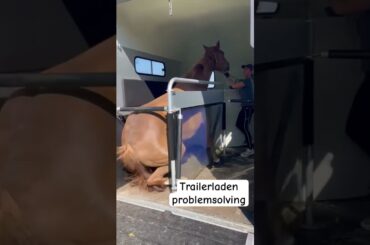 Trailer laden. Oplossing op mijn kanaal! #lovemysubscribers #horsetrainer #paard #horsemanship