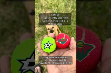 Cujo’s NHL Picks | Minnesota Wild vs Dallas Stars 🏒 04-28-2026 #CujoCatches