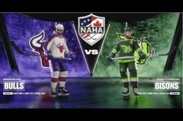 NAHA 2025-26 Season - Birmingham Bulls (25-16-4) @ Saskatchewan Bisons (19-23-7)