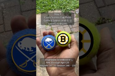 Cujo’s NHL Picks | Buffalo Sabres vs Boston Bruins 🏒 05-01-2026 #CujoCatches