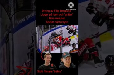 Filip Berglund diving - Linus Arnesson crosschecking Örebro Dommarskandal SHL