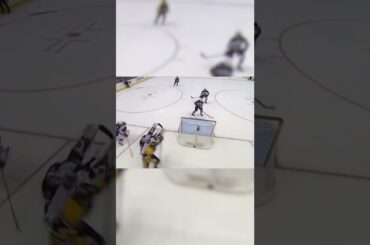 Elvis has left the... net! 🎙️🥅