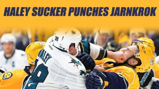 Haley Sucker Punches Jarnkrok