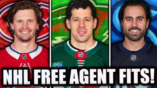 One Player Every NHL Team Should Sign This Offseason!