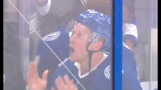 Corey Perry Loses It On Habs