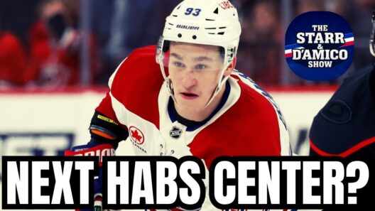 Habs Fans! This Idea Is CRAZY...Right?!
