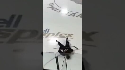 Skate guards remain undefeated 😆🔃