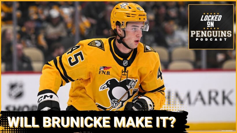 Can Harrison Brunicke make the full-time leap to the NHL this year?