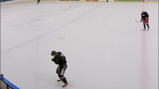 Connor Bedard Is Injured