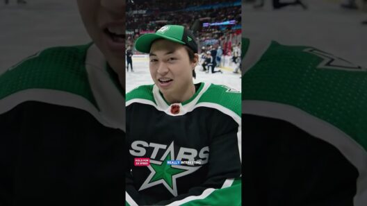 The Dallas Stars and Red Wings Discussed a Potential Trade for Jason Robertson and Dylan Larkin