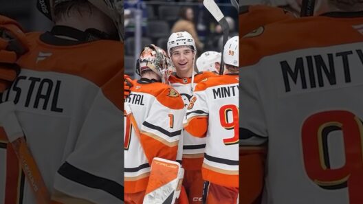 What will the Anaheim Ducks be like next season??