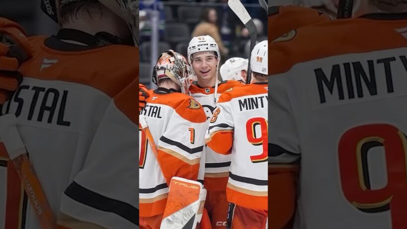 What will the Anaheim Ducks be like next season??