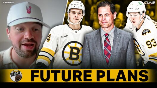 What is Don Sweeney's Long-Term Plan for Bruins? | Poke The Bear